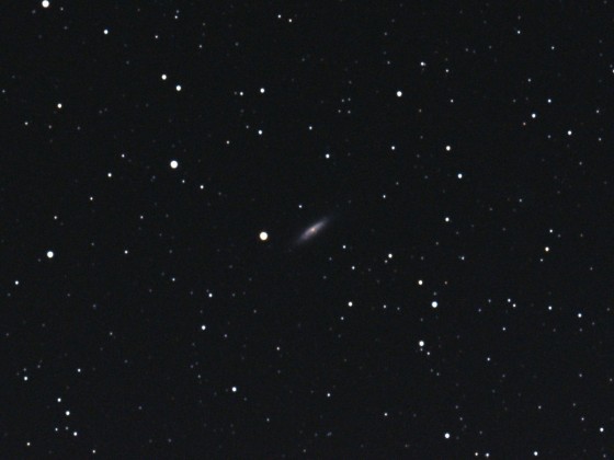 NGC 6503 am 14.02.2019
