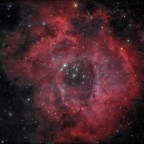 NGC2238 Rosettennebel